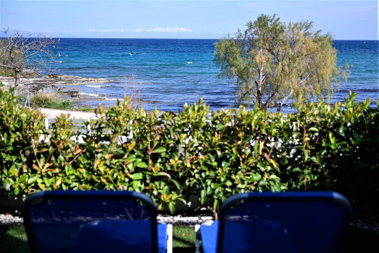 Cubes On The Beach Athens Airport 아르테미다 외부 사진